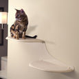 Cat Clouds Cat Shelf