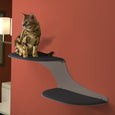 Cat Clouds Cat Shelf