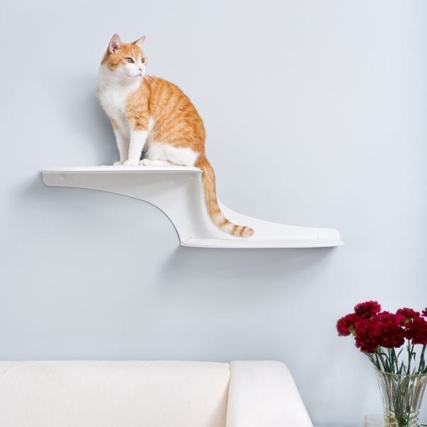 Cat Clouds Cat Shelf