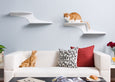 Cat Clouds Cat Shelf