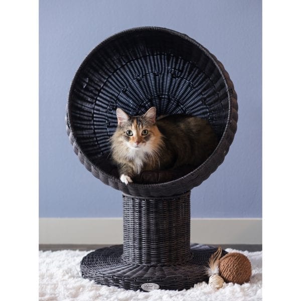 Kitty Ball Cat Bed