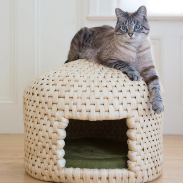 Cat Hut – Bohemianfeline